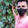mayuranmayura