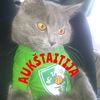 katinukas_murka