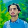 hamidwazir2917