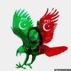 sadeeqmasoom8258