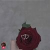 user4631588934218
