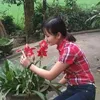 duonghoi52