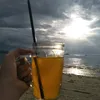 nesyaabibel