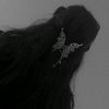 maryam_awaan