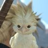 idlekatze