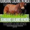 maminimron1