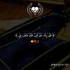 mudan.haween81