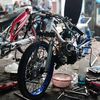 ankmlm24