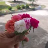 viennguyen142
