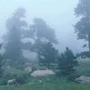 noor.khostwal