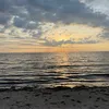 joello_1