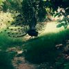 user5126177028051