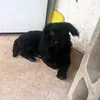 admmacedoh