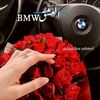 ahlambn11