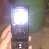 paidul310