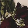 dot_quaco