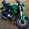 gass0591