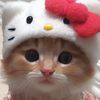 babydunoo