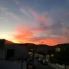 sinhacereja