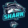 shark_yt__