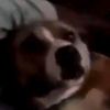 cmdrnkk