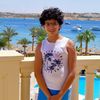 kevinatef406