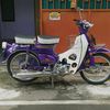 riareogaul99
