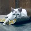 alongg_69