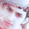 shibal711