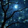 0ptimistic_soul