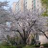 tranthuy3875