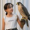 nour4082