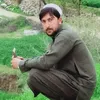 zabihullah683
