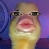 h_2o_o