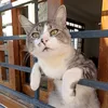ildasampai