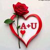 user1166051101707