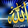 dy1nj68ni7em