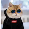 ttaannppaannaammaa