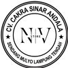 N V Store