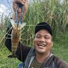 Ariez Pm