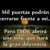 vilma_de_leon