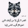 user8569125426009