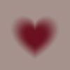 ariana_oficial010