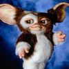 03gizmo