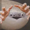 kawancabral551