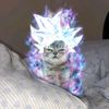 lionelbruh91