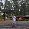rhiin33