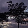 silitireng.12