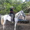 edivanferreira230