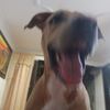 2godie7